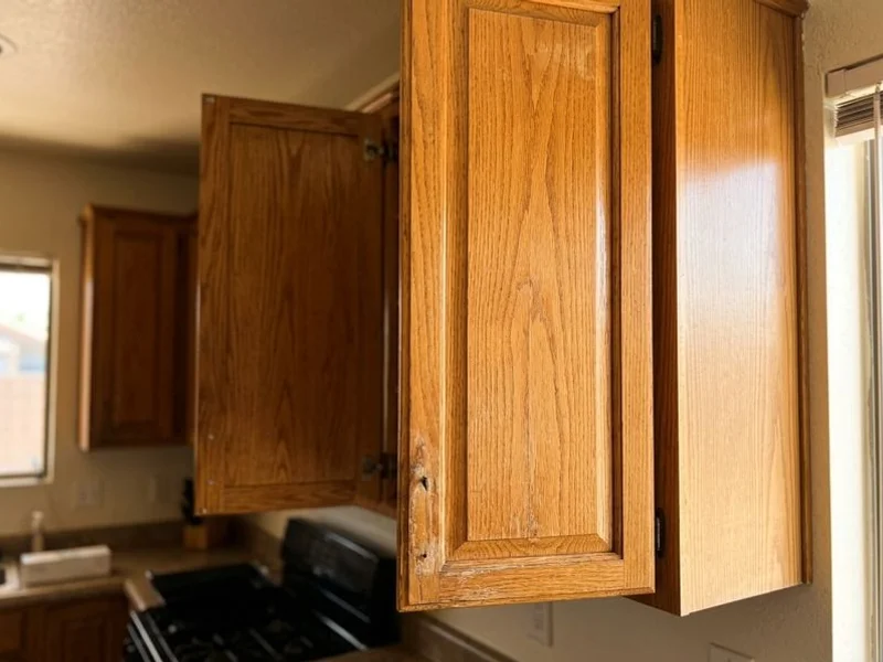 Oak cabinets before repainting